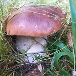 Dom Na Mazurach - Gasiorowo Villa *