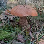 Villa Dom Na Mazurach - Gasiorowo