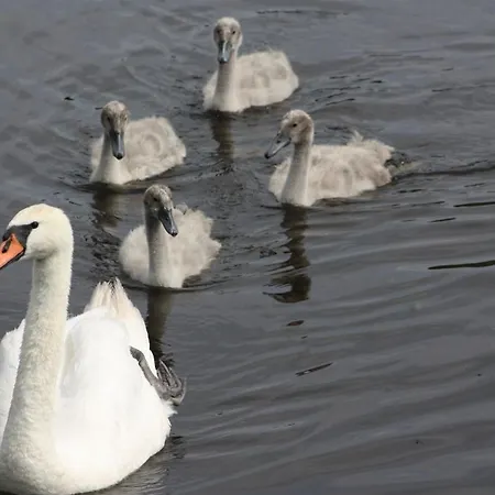 Villa Dom Na Mazurach - Gasiorowo
