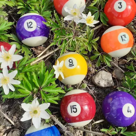 빌라 Dom Na Mazurach - Gasiorowo Lichtenstein Ostpreussen